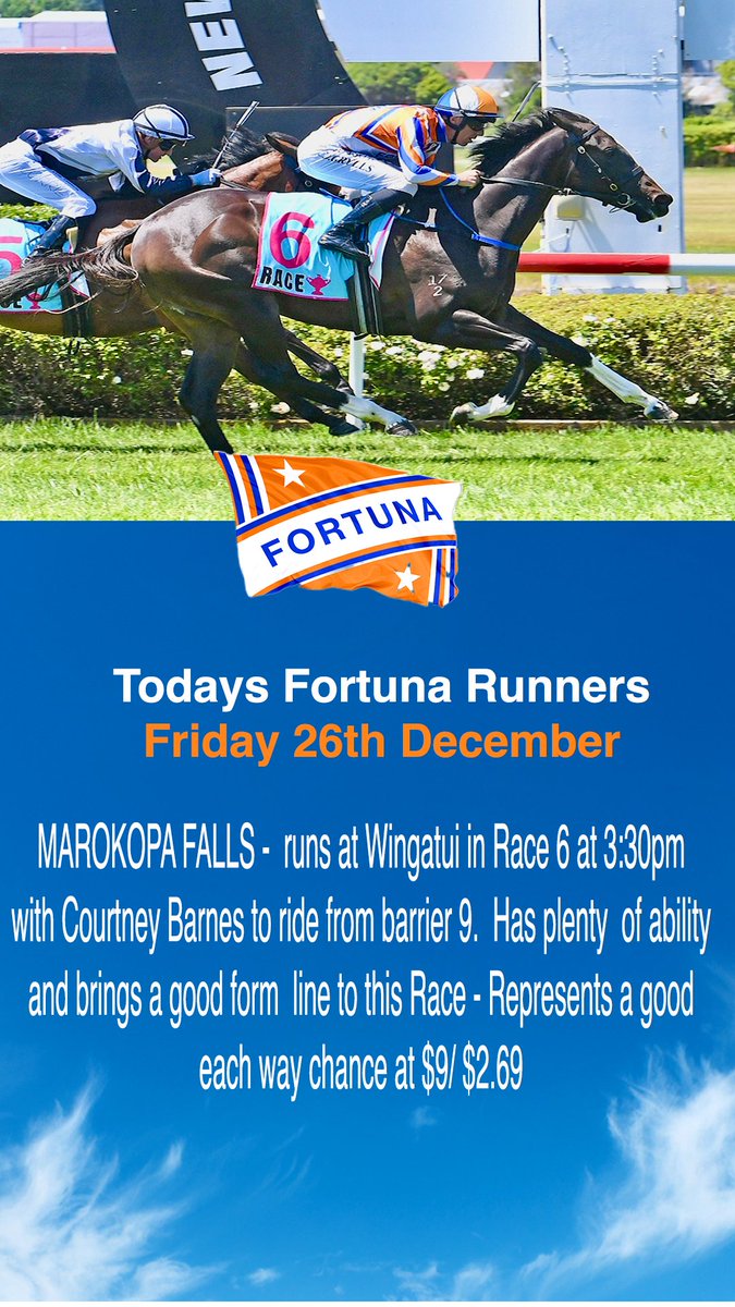 Fortuna Thoroughbred Racing tweet media
