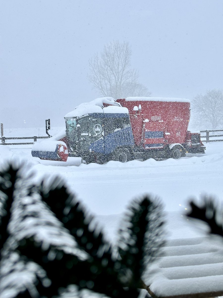 Siloking Canada tweet media