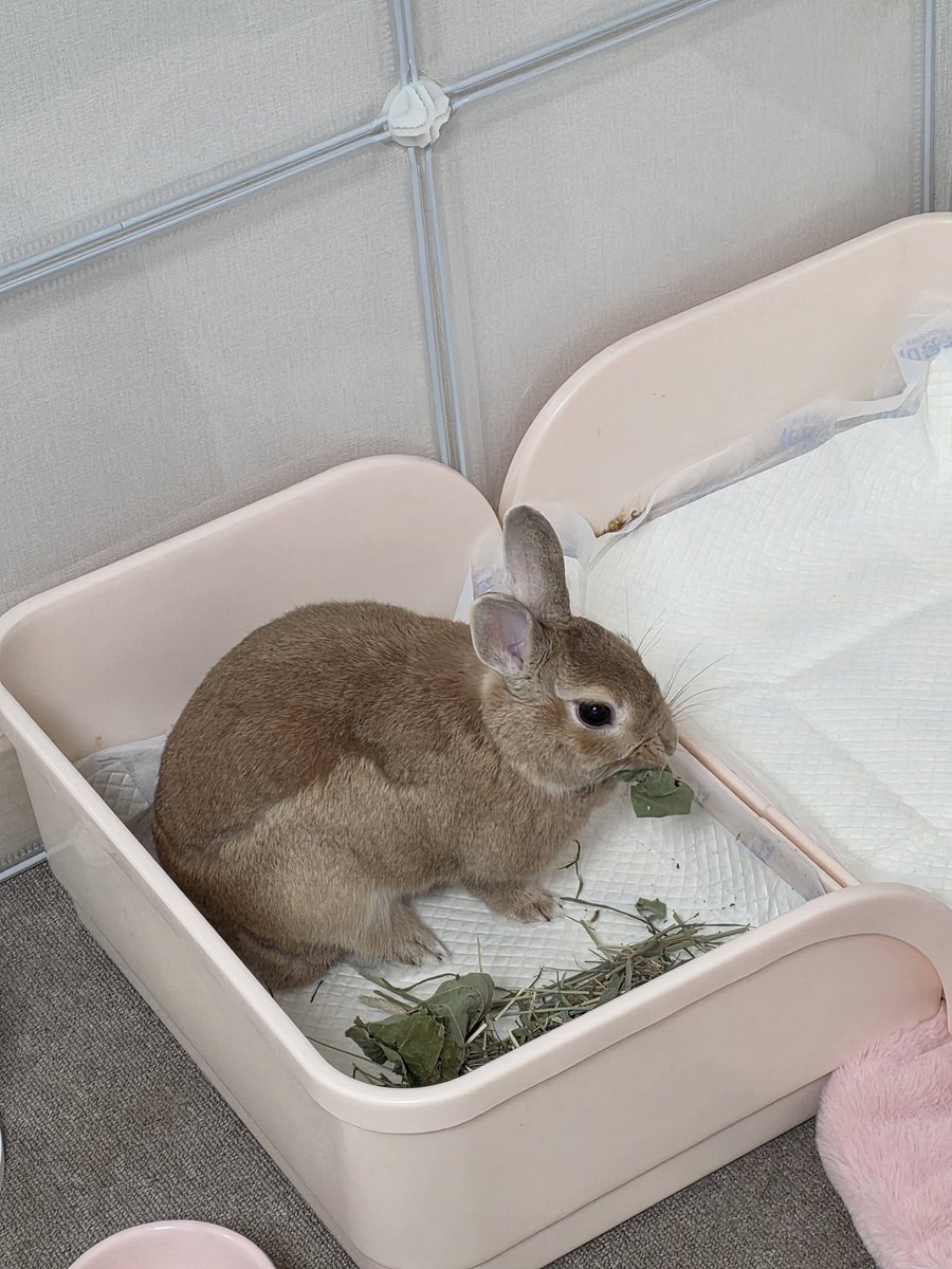 릴리야 싸우지말고있어