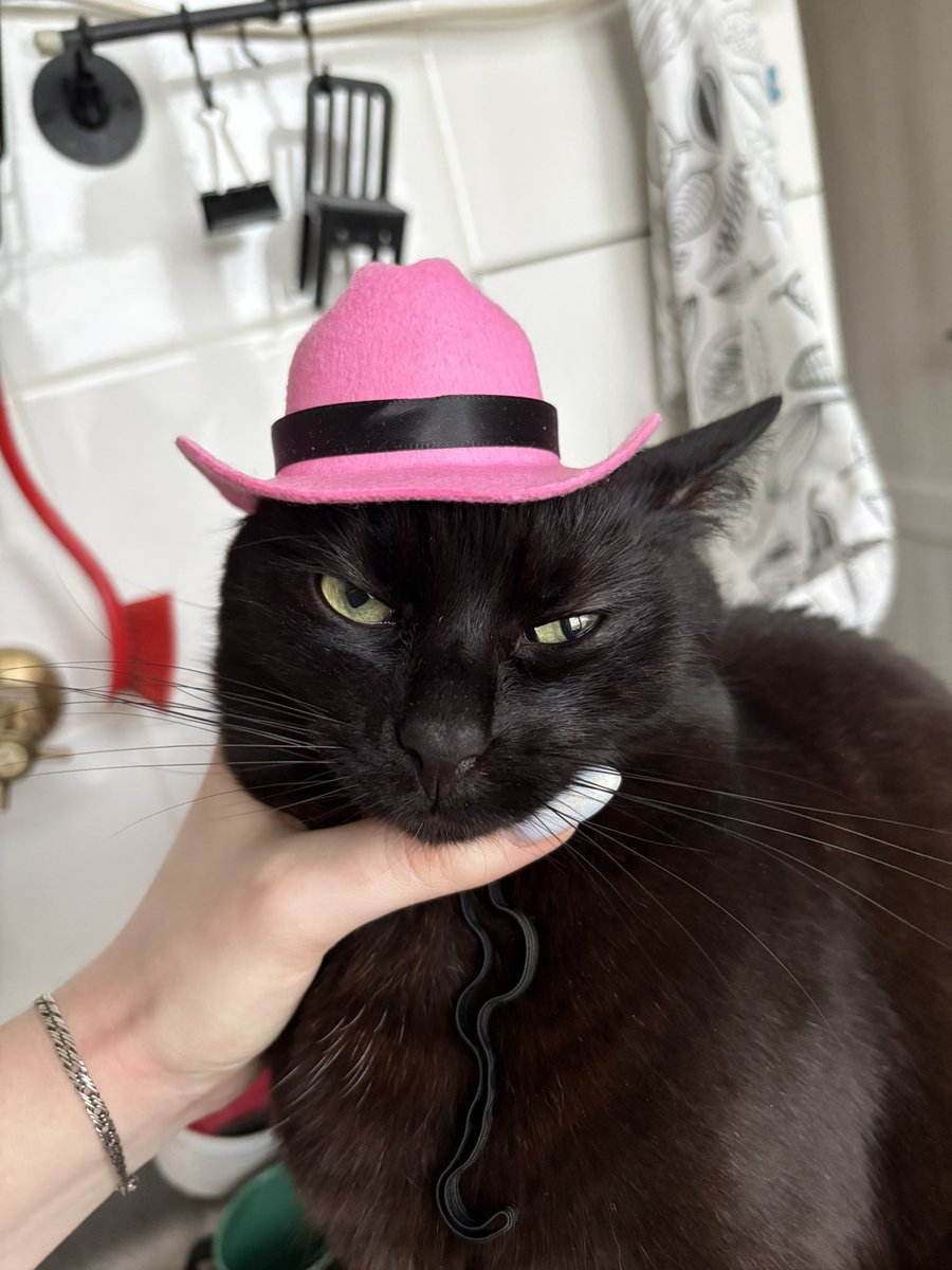 не знала что подарить коллеге на нг и решила зайти со стороны псына. 
так вот я ничего не хочу сказать конечно, но котосын выглядит выигрышней псына. 
(коллеге знать об этом совершенно необязательно)