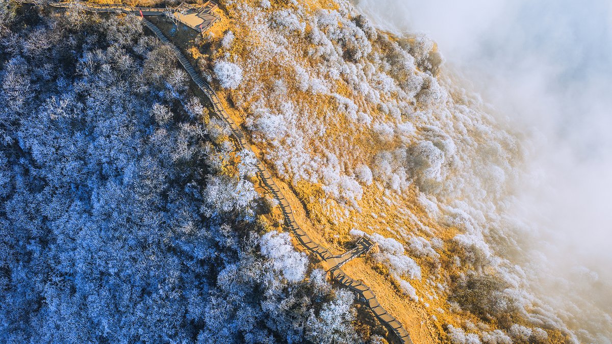ChinaDaily's tweet image. #ChinaCanvas On #Chengdu's Xiling Snow Mountain, a churning sea of clouds meets frost-feathered trees. The peaks, veiled in ice and mist, create a scene of ethereal winter magic. A true fairyland on earth. #tourism
