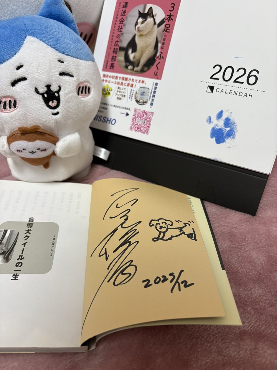 3本足の保護猫ふく😼広報部長 (@fuku_bucho_cat) / Posts / X