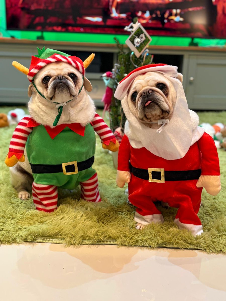 Maria Manelidou tweet media