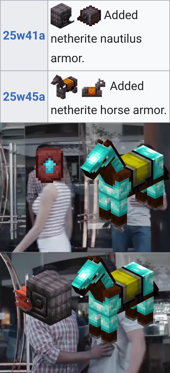 Netherite armor priorities for mounts