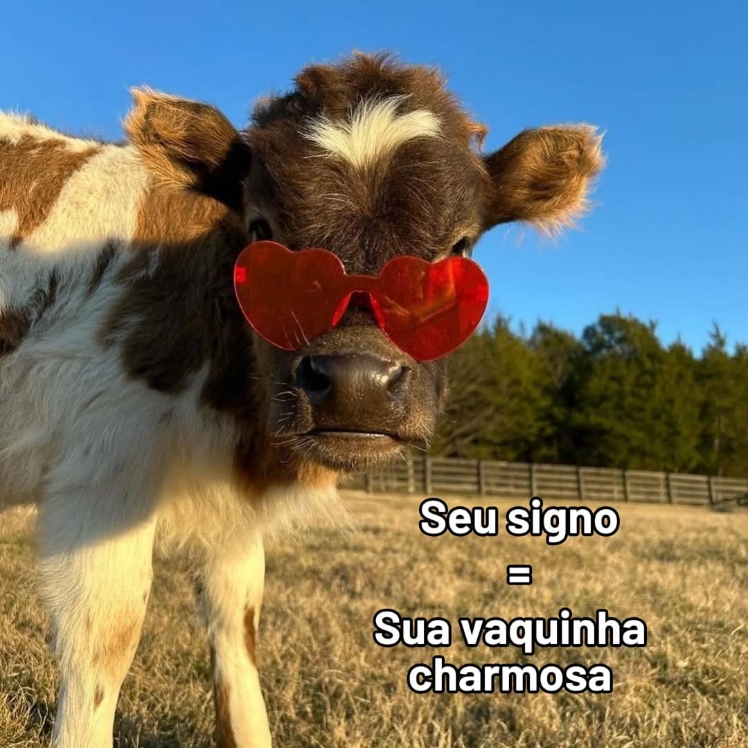 Signo de Aquário (@sgnaquario) on Twitter photo 