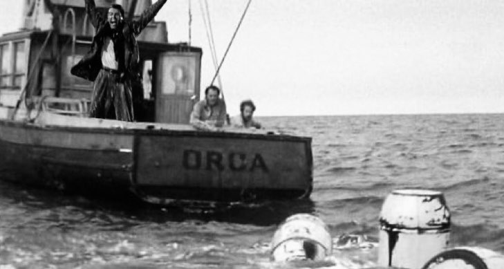 “MERRY CHRISTMAS ORCA!”