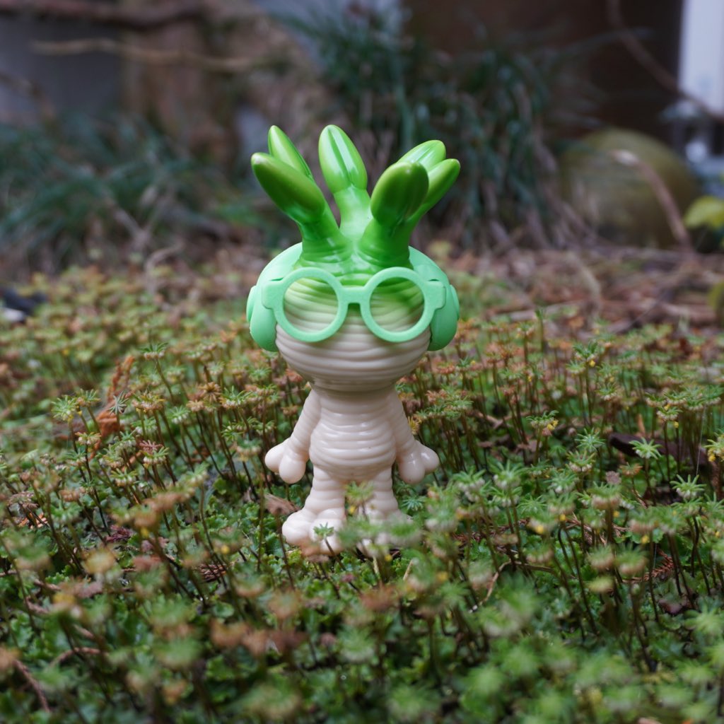 続々と来年の予定が決まって嬉しい気持ちのマンドラグラキ🌱 来年も