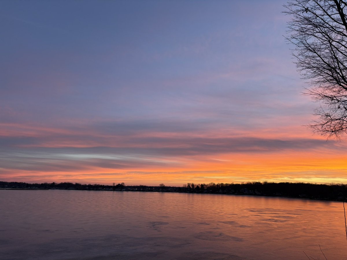 Sandra Vox tweet media