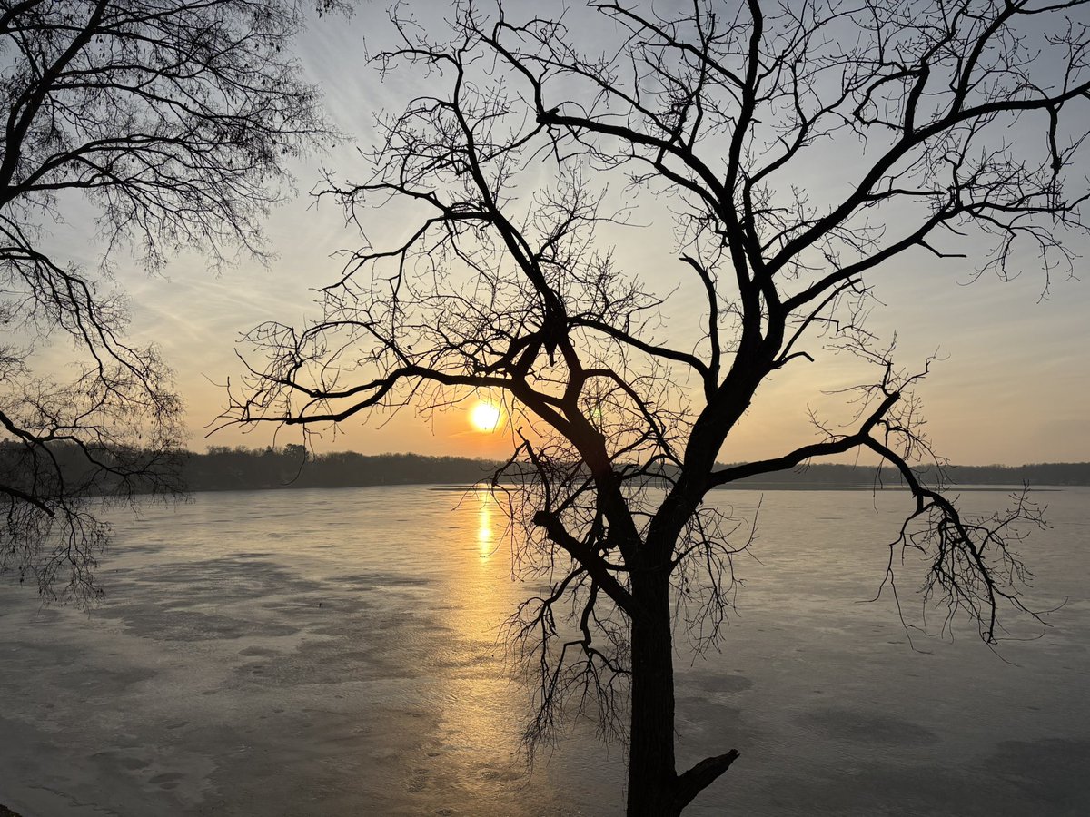 Sandra Vox tweet media