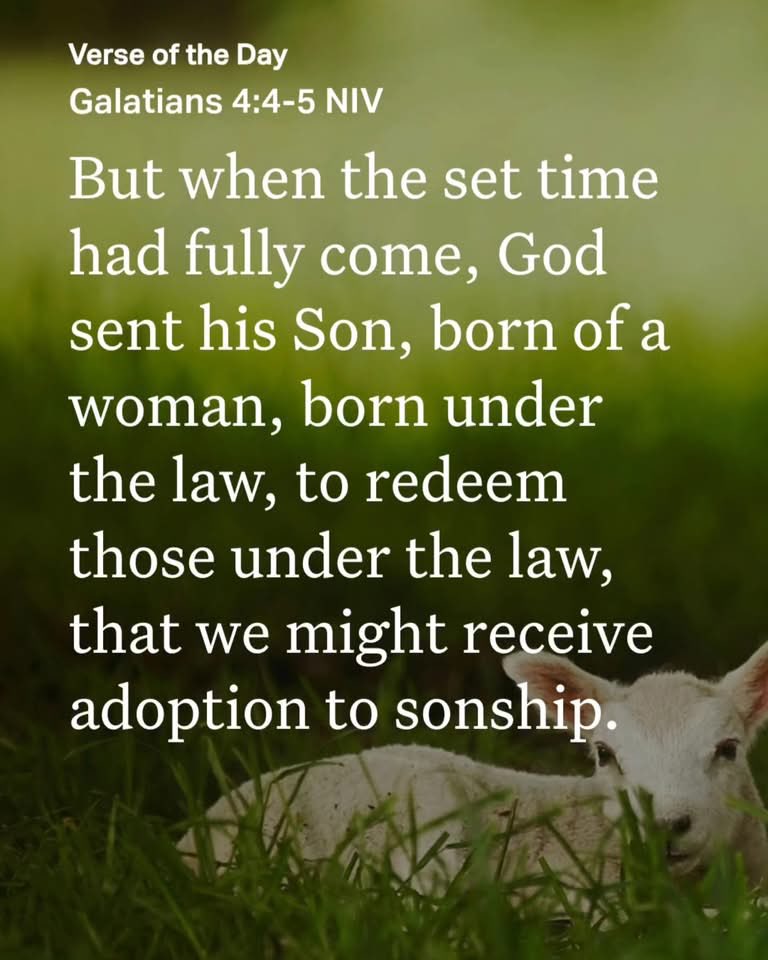 On this day 2,000 years ago in the little town of Bethlehem God became man so we might become godly. 

"So with us; when we were children, we were slaves to the elemental spirits of the universe. But when the time had fully come, God sent forth his Son, born of woman, born under
