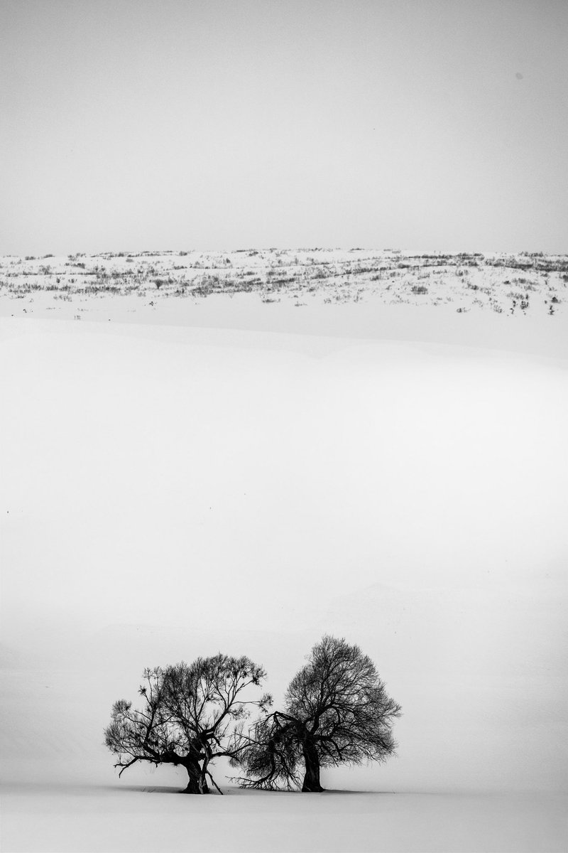 Karlı bir sabah / #bingöl ❄️