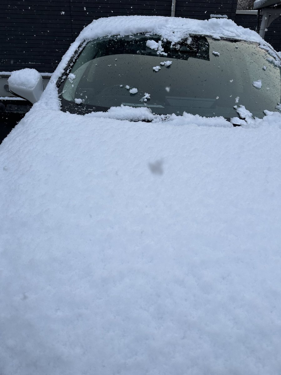 wkgf333's tweet photo. おはようございます😊
いきなり過ぎてビックリ👀

でも雪はテンション上がるわ❄️ ⛄️ https://t.co/26gBvsFRtT