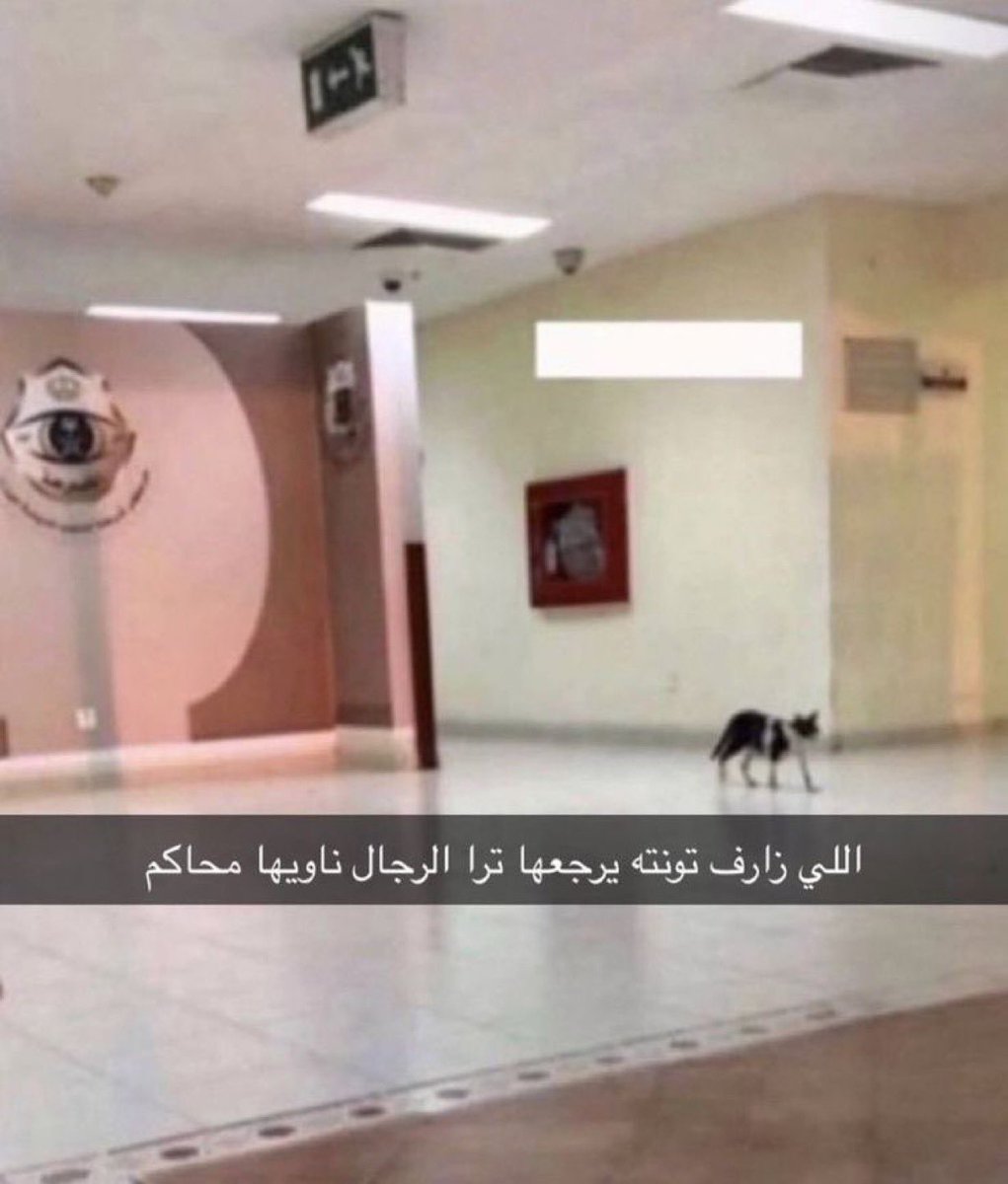 سعود (@r503l) on Twitter photo 