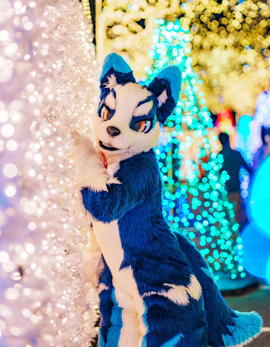 狼月@next→JMoF (@moonwolfen) / Posts / X
