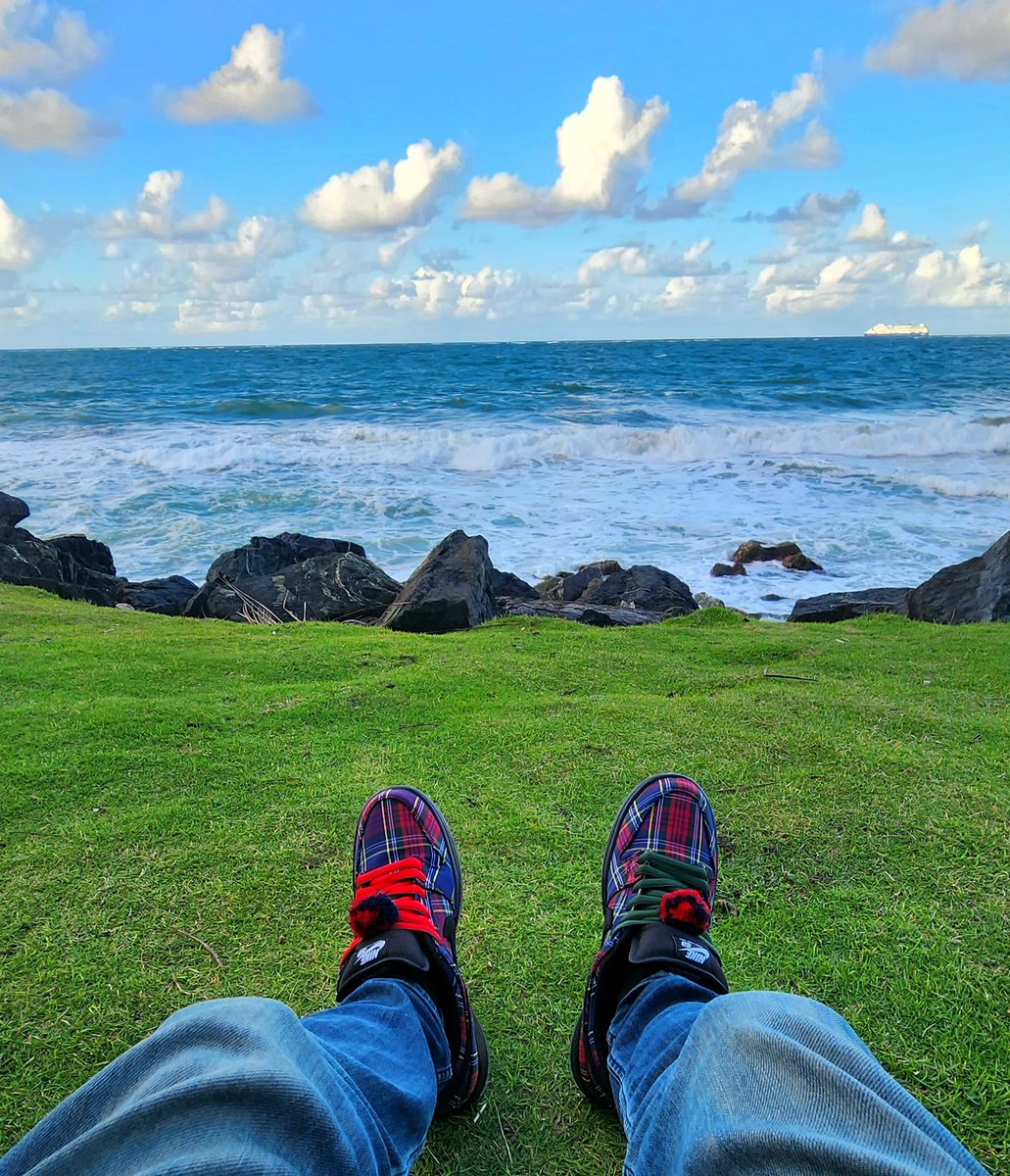 Albert X tweet media