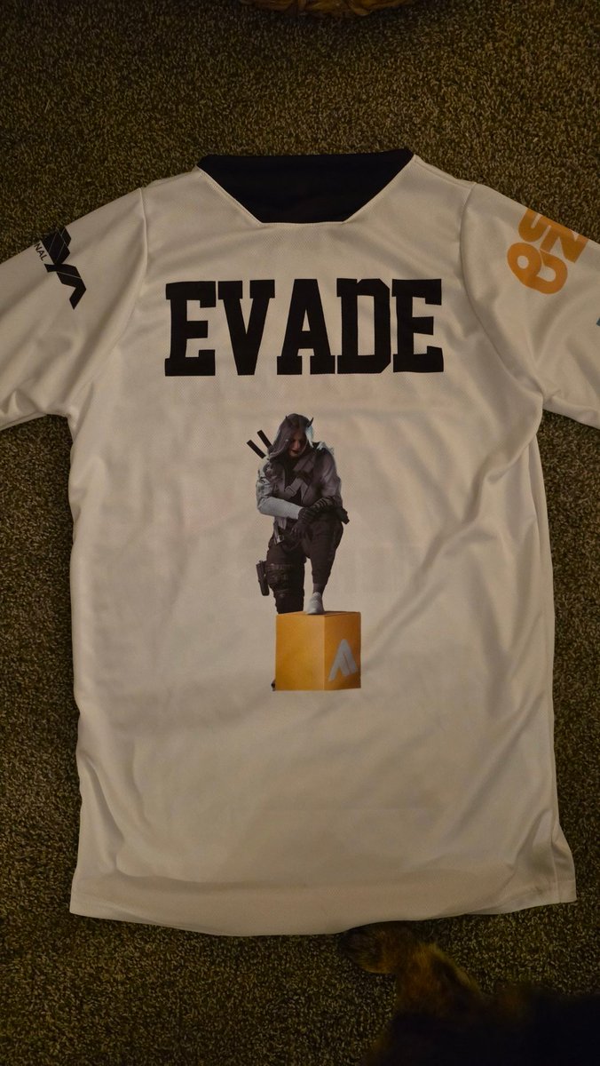 Evade_TF's tweet photo. So, my wife officially won christmas. So much thought into this. She's been so supportive of my Esports journey. Even though its just starting. Love her so much ❤️😭 https://t.co/Sp2vTA26w2