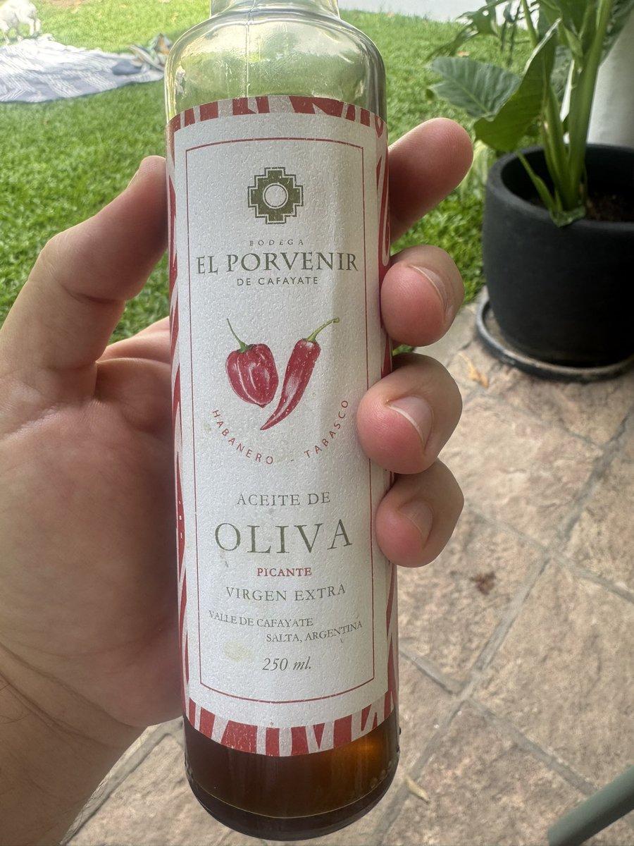 Huberto Bourlon “el Guiso” tweet media