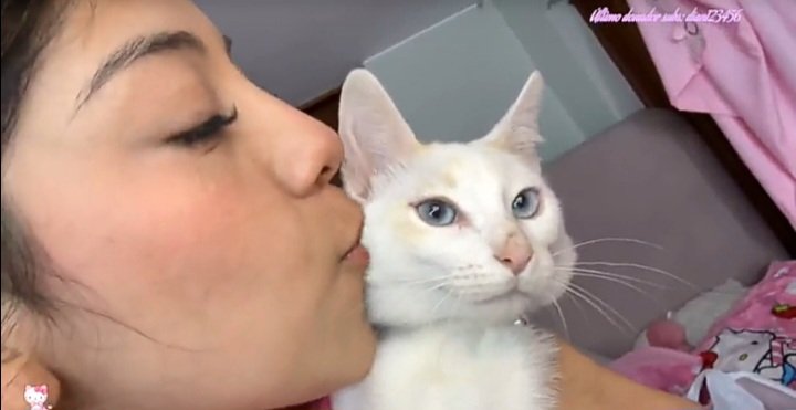 milkycat☆ tweet media