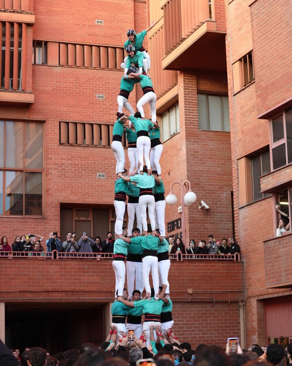 Arreplegats de la Z.U. tweet media