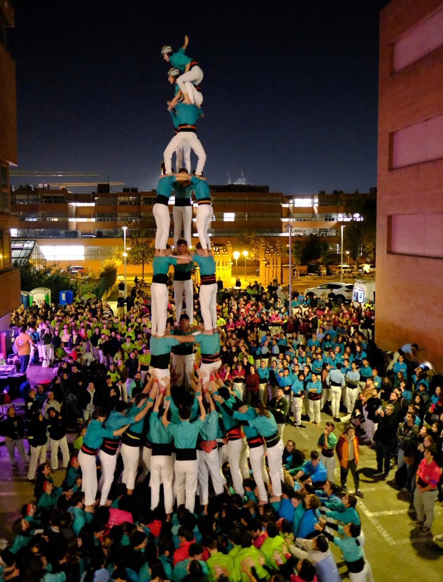 Arreplegats de la Z.U. tweet media