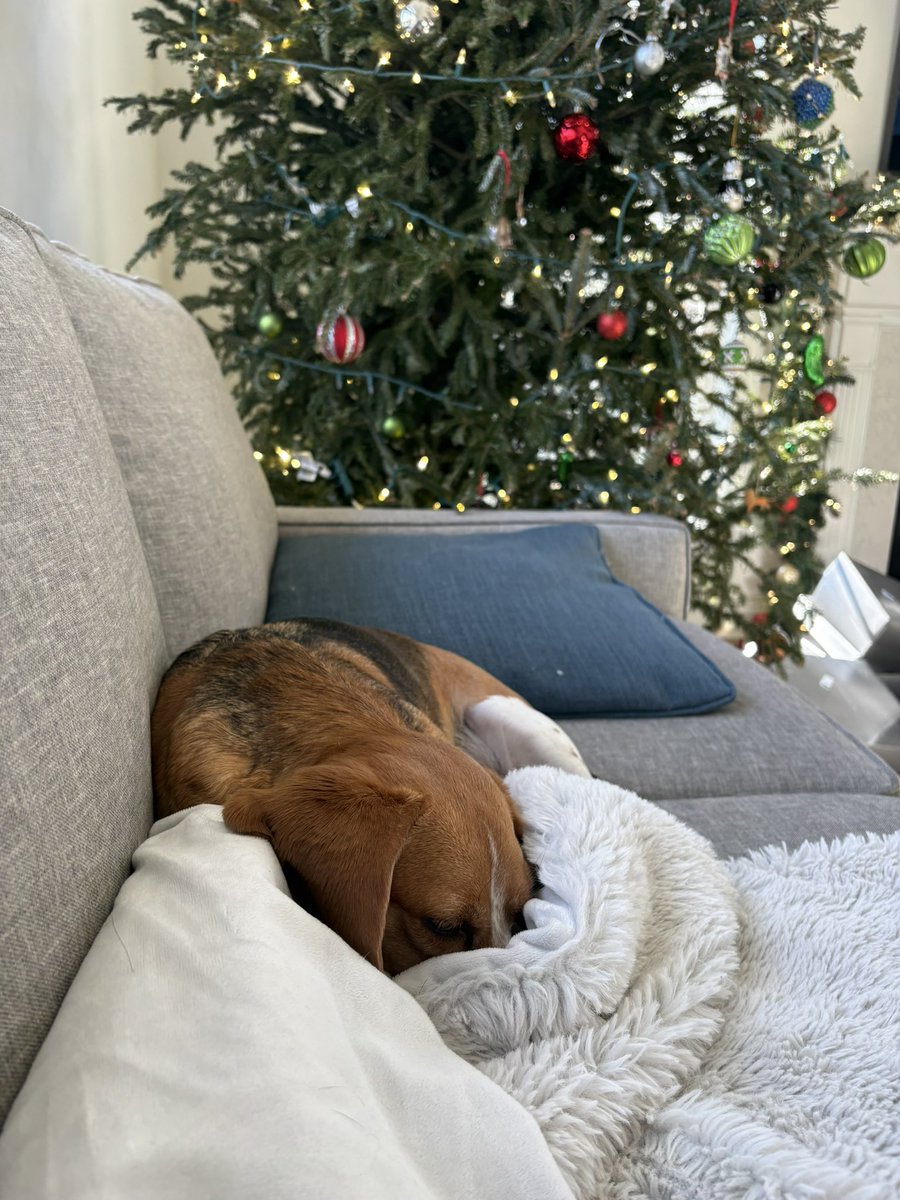 Shady Steve (two arms) tweet media