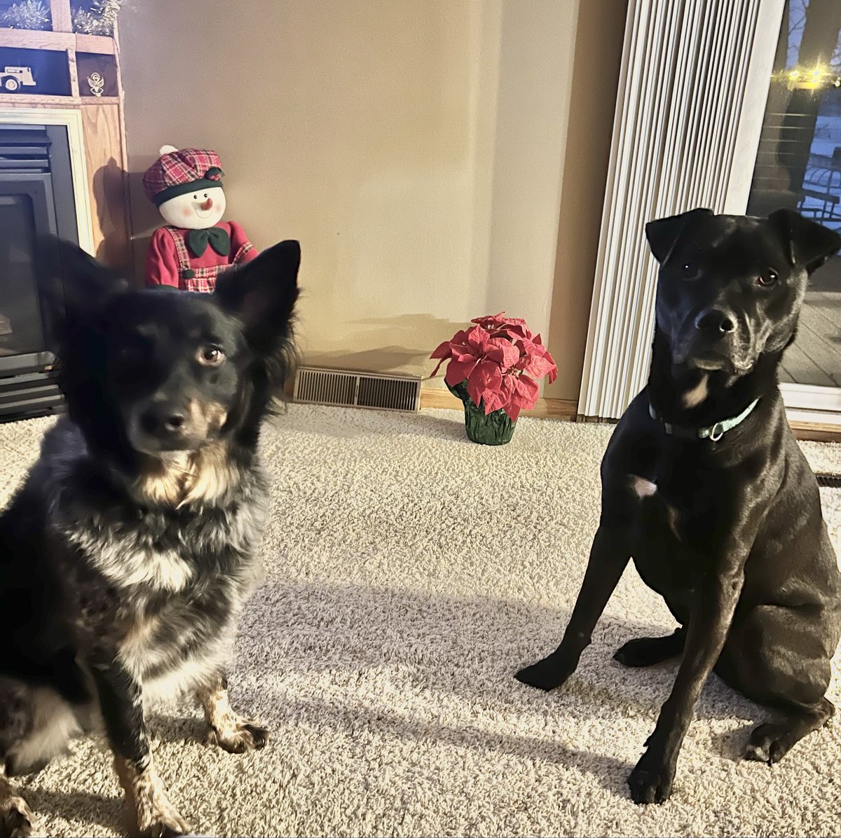 Devin Vouk tweet media