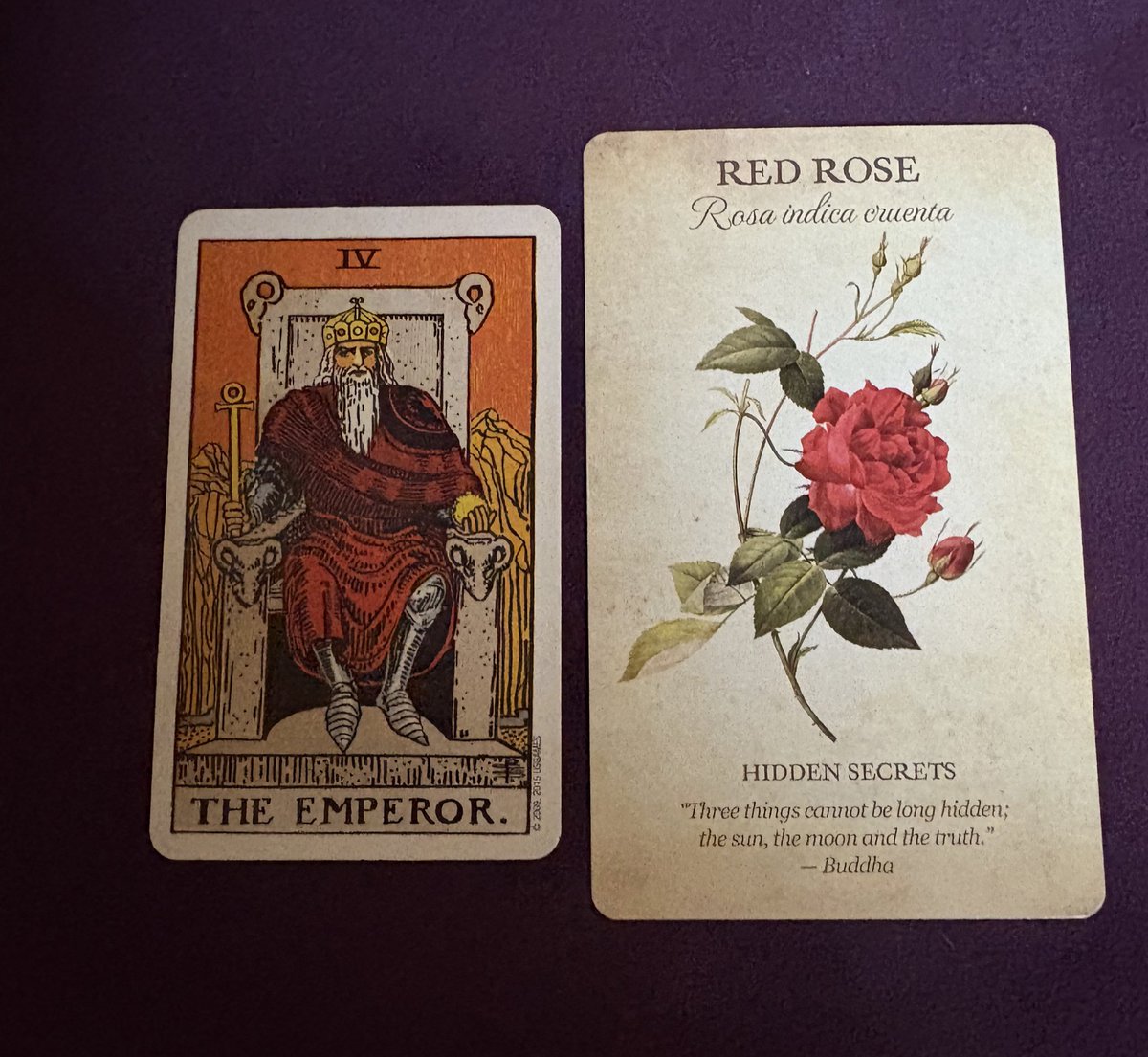 🌸占い師maRRRie(మేరీ/まりー) 京都文フリH48