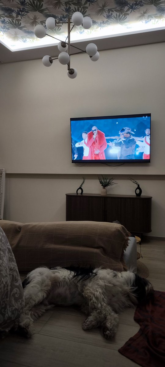 Dapoowinnie tweet media