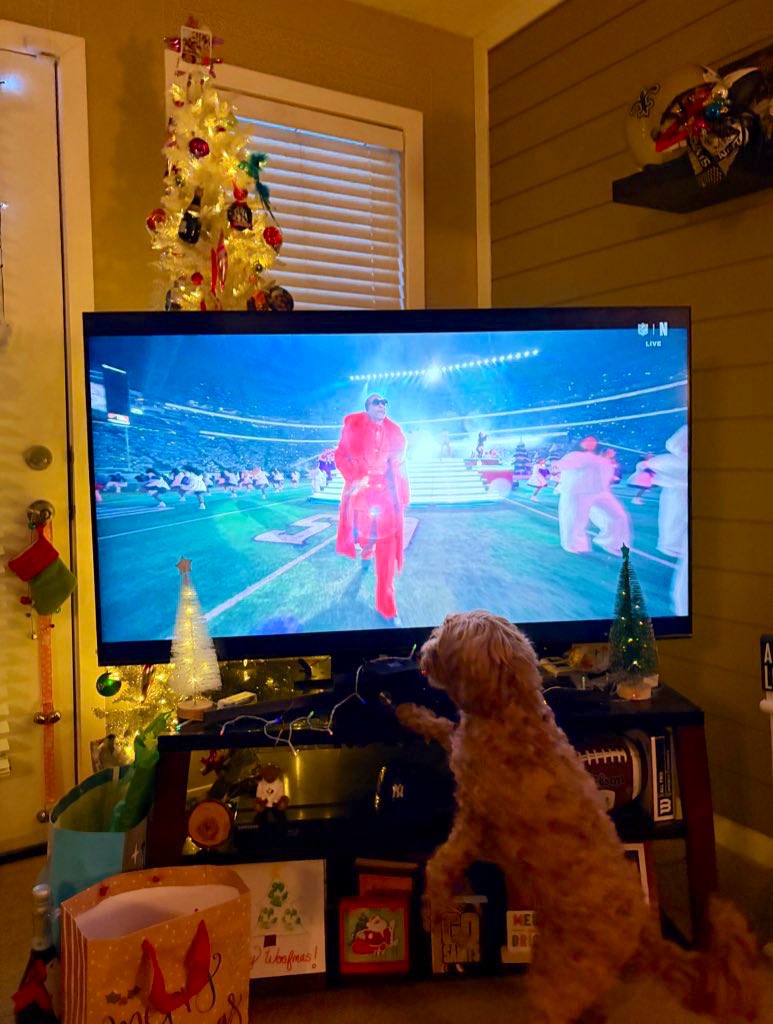 Just a dog up in 🇨🇦 intrigued by another D-O-G-G!  Now that was fun! <a href="/SnoopDogg/">Snoop Dogg</a> <a href="/netflix/">Netflix</a> 🎶 🏈🐾 #NFLonNetflix #UncleSnoop #MerryChristmas #HappyHolidays