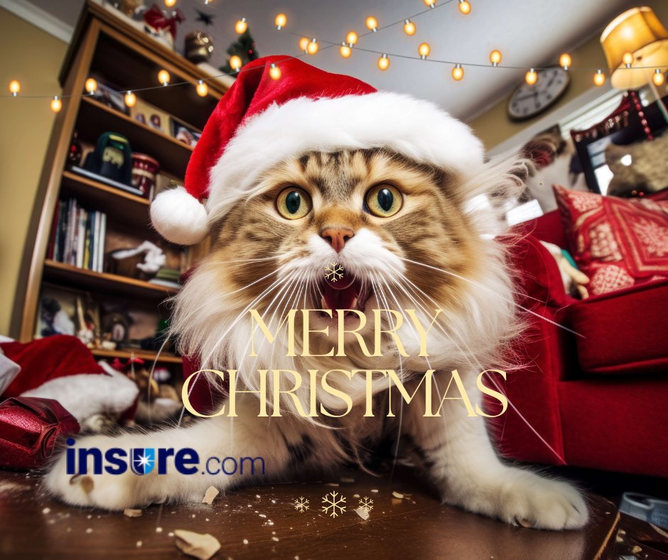 Insure.com tweet media