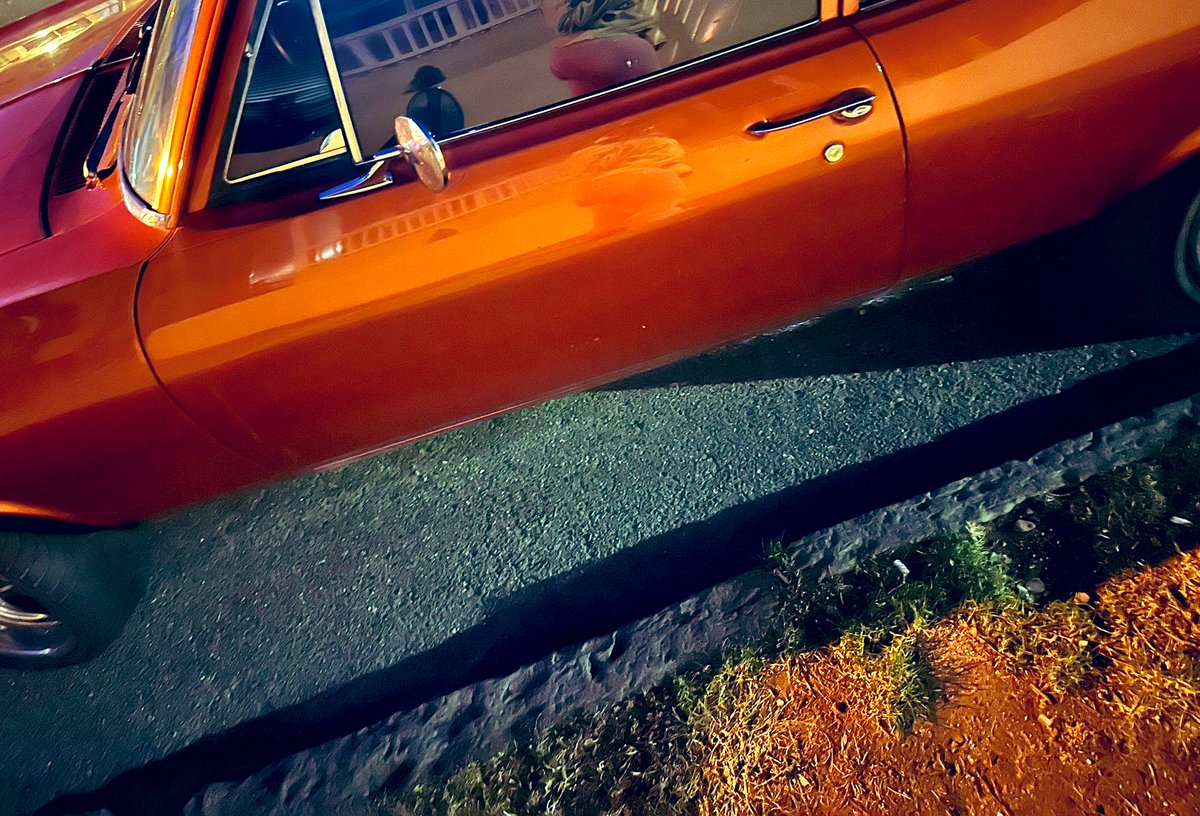 feelcamera's tweet image. 🎄💗