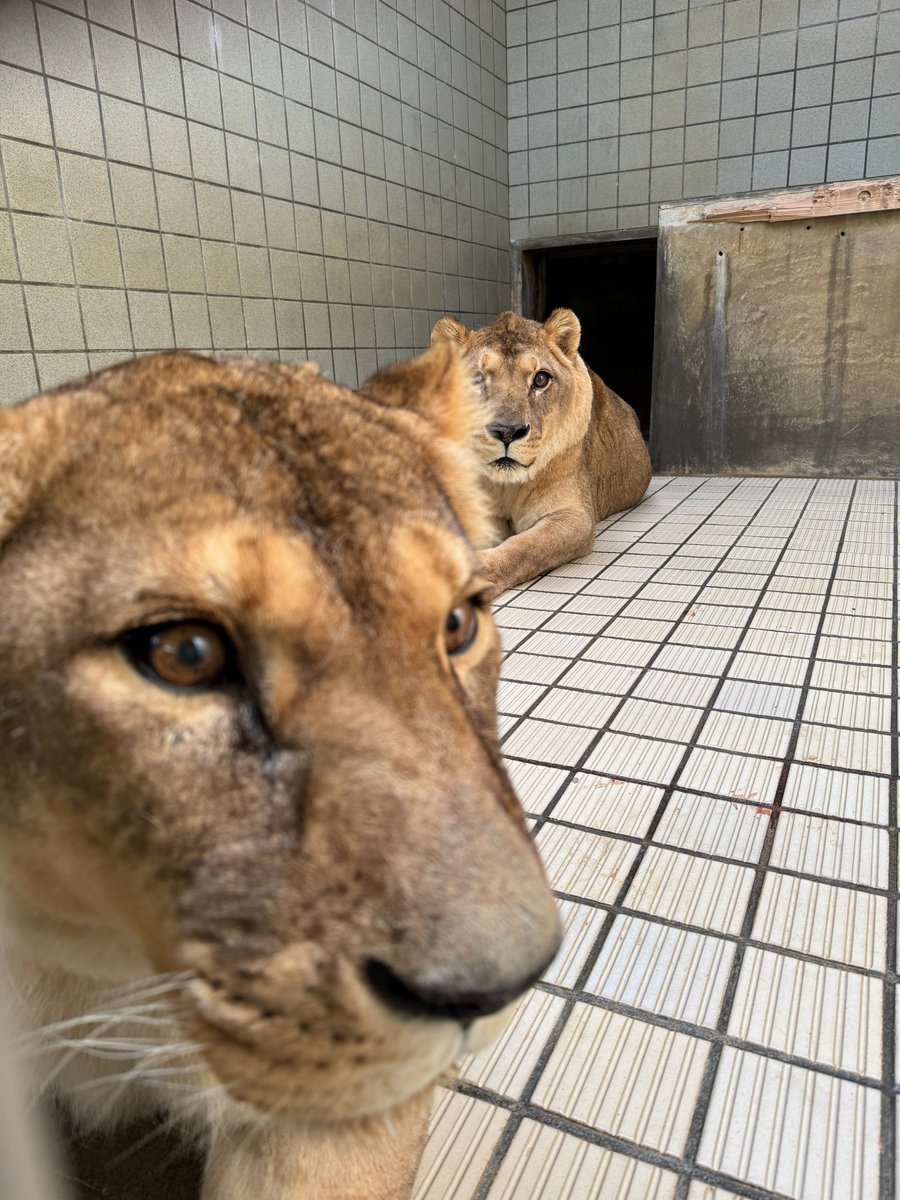 高齢やしね…無理は禁物よ