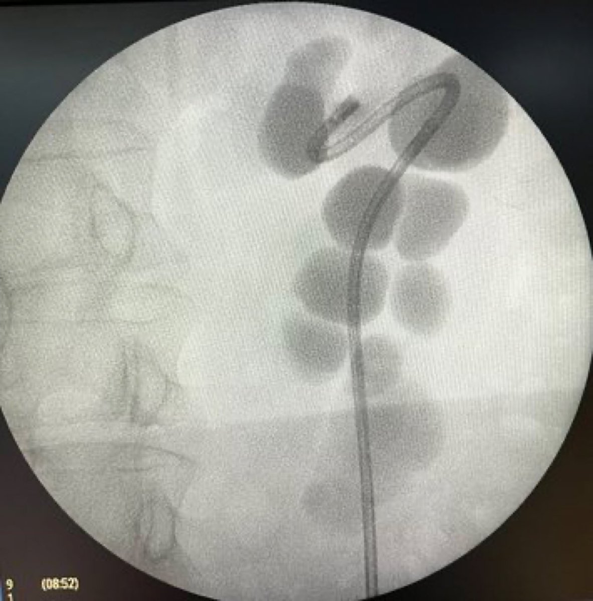 Santiago Pautasso tweet media