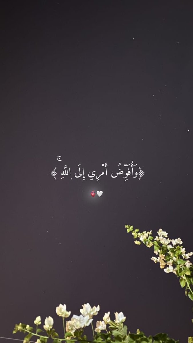 Erling Haaland19 (@ehaaland1968) on Twitter photo 