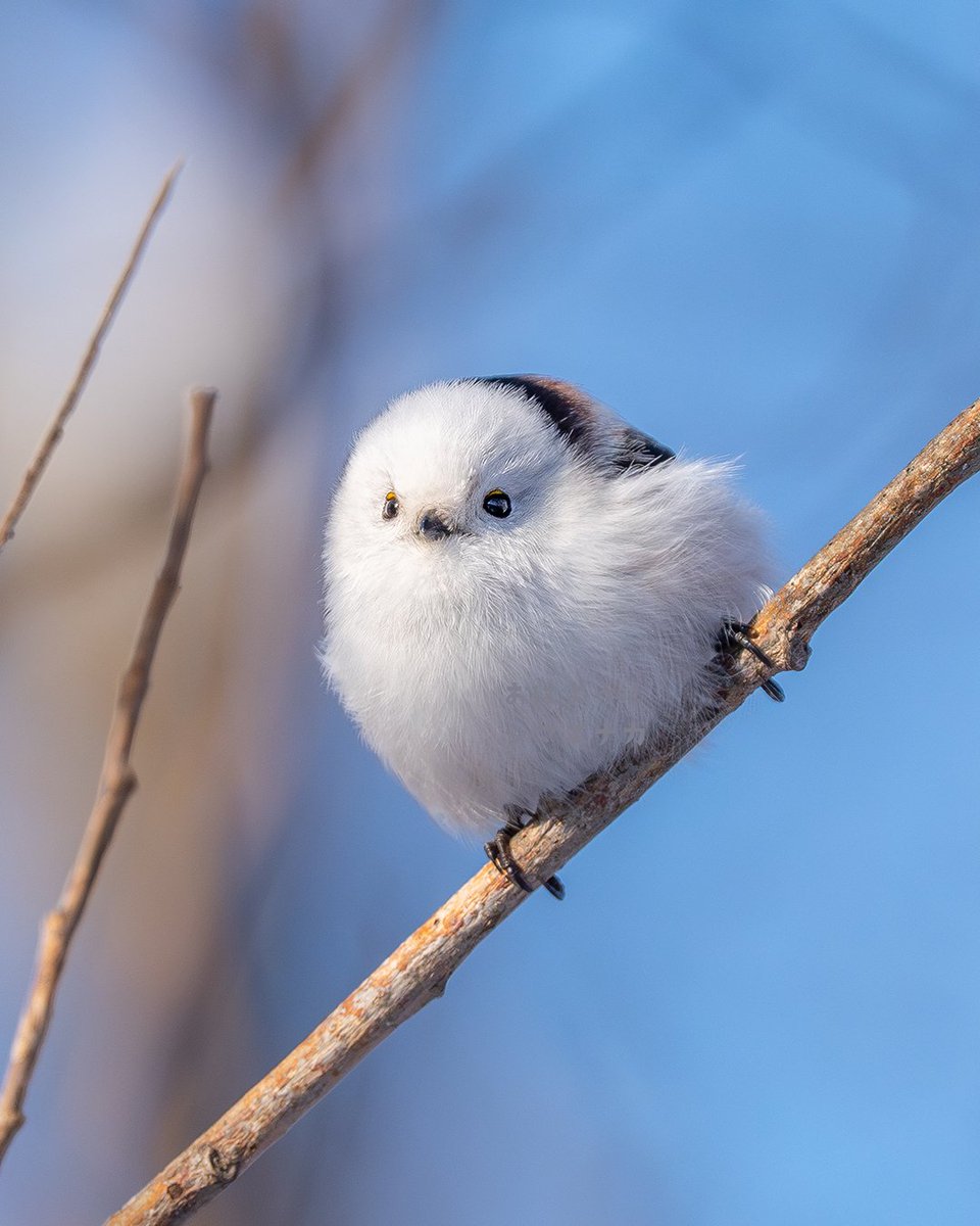 みるきー (@milkyma2) / Posts / X