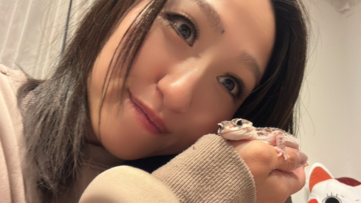 Azusa_LananFizz tweet media