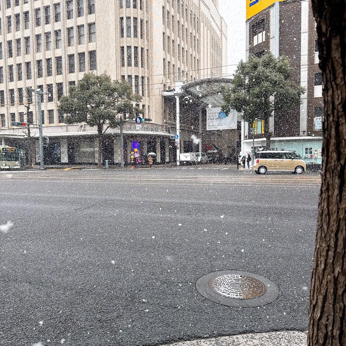街中もしっかり降ってた(ヽ´ω`)