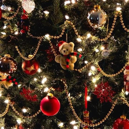 mwacocandy's tweet image. AU #samia 𐙚. ݁ ˖ ❆ ݁₊⊹ . ݁˖

Onde um antigo pedido de Natal de Samuel é finalmente realizado... de um jeito inesperado.

#OShippParanormal