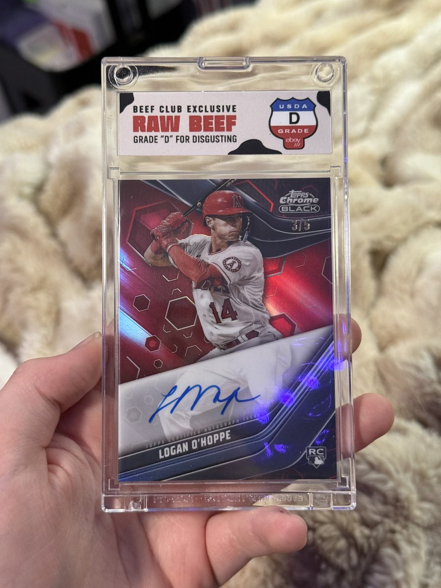 HalosGoobs tweet media