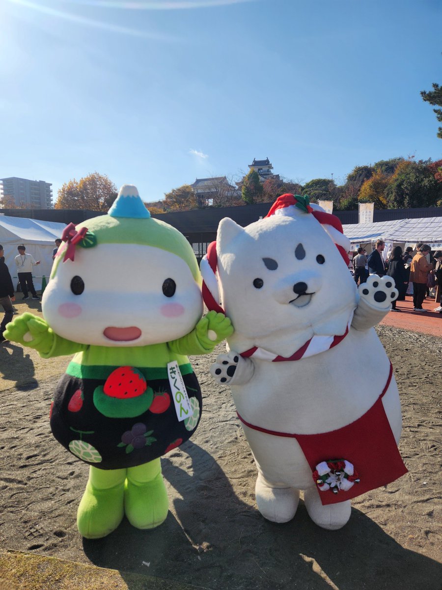 しっぺい大感謝祭2026 に遊びに行くのん♪ みんなも遊びに来てね