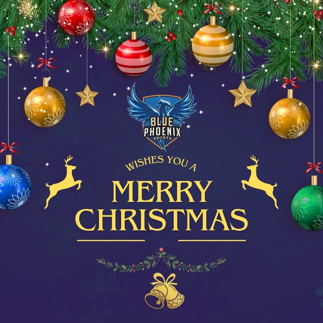 Blue Phoenix Sports Ltd tweet media