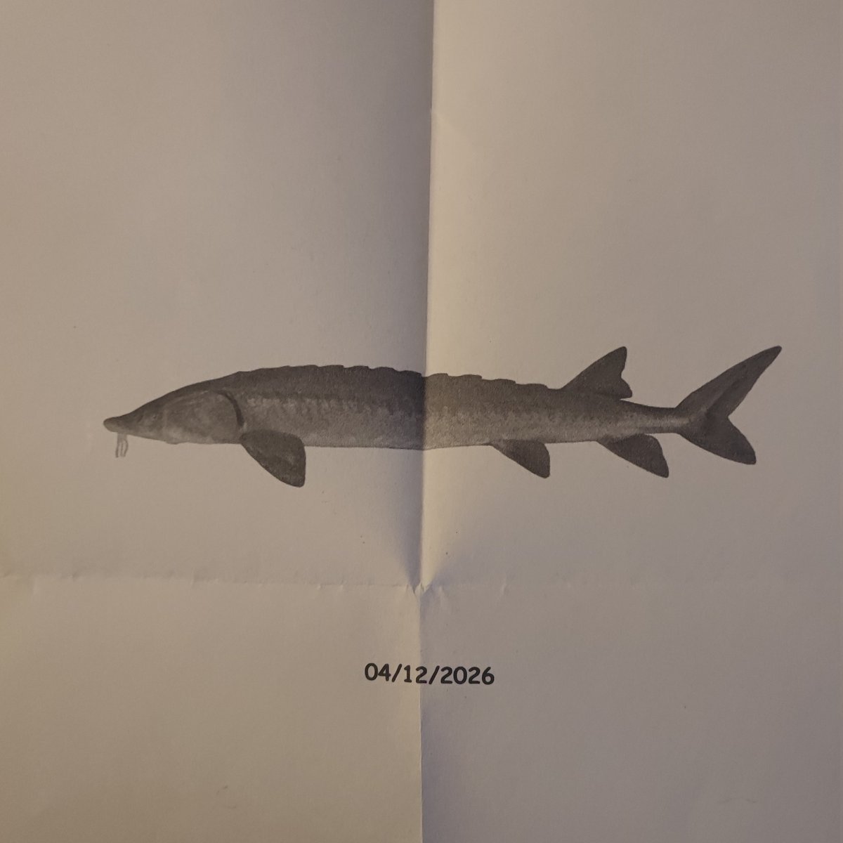 _BATIL_'s tweet image. mon amoureux m'a donc offert 2 places pour le Zénith de ISHA et Limsa d'Aulnay je suis trop contente + il est trop fort :