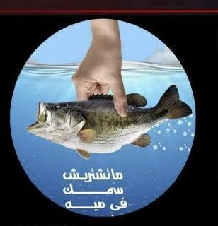 EEBibo's tweet image. سؤال لا أجد له إجابة👇
كيف وافق وزير الرياضة علي فتح باب عضويات الزمالك قبل إنتهاء ٥٠٪ من الإنشاءات؟
ما ذنب من إشتري عضوية النادي في أكتوبر لظروف عمله أو سكنه ويفاجئ بتغيير المكان بعد سحب الأرض وهل يحق لهم إستعادة تلك الأموال وكذلك البنوك والشركات كيف إشتروا السمك في المياه🤔