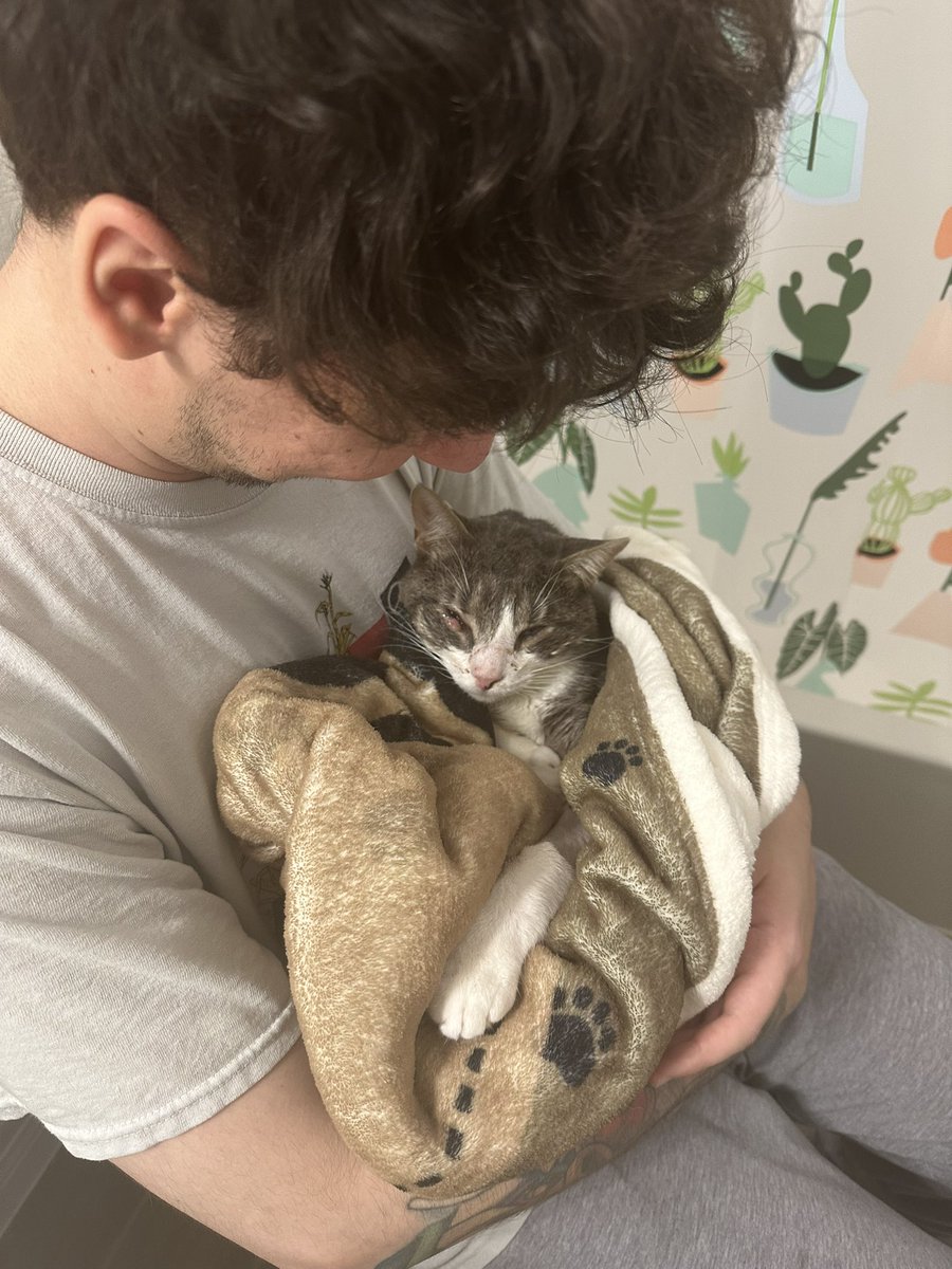 FireDragon tweet media