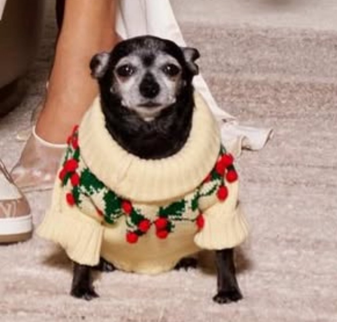 robert “demolisher” smith tweet media