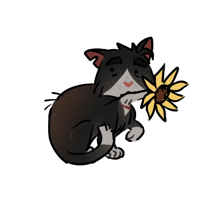 Be a villain or live long enough to get old and sun bleached and sad
