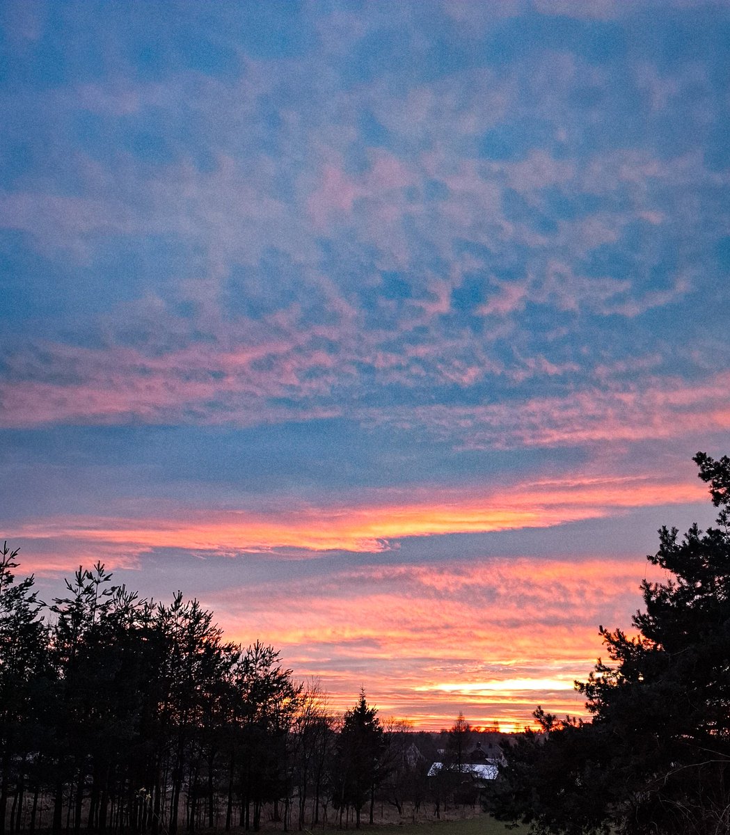 3️⃣5️⃣9️⃣