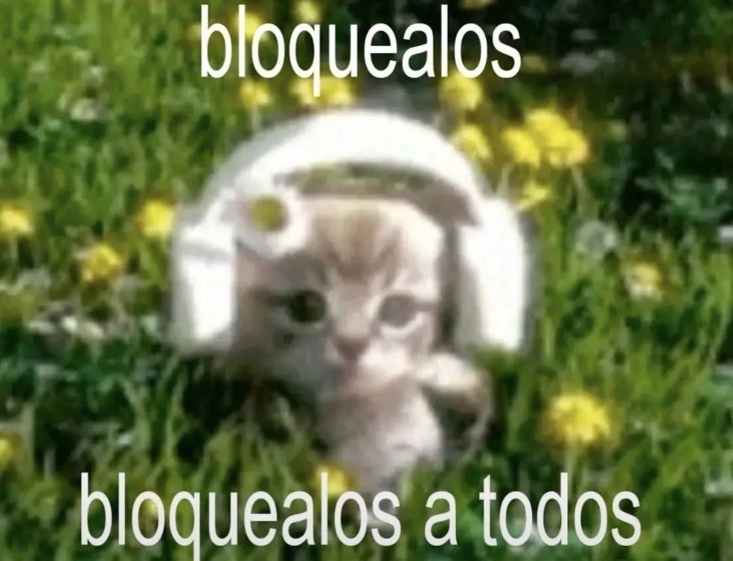 miyarah_'s tweet image. me piden consejo pero lo que yo haría seria dejarles de hablar