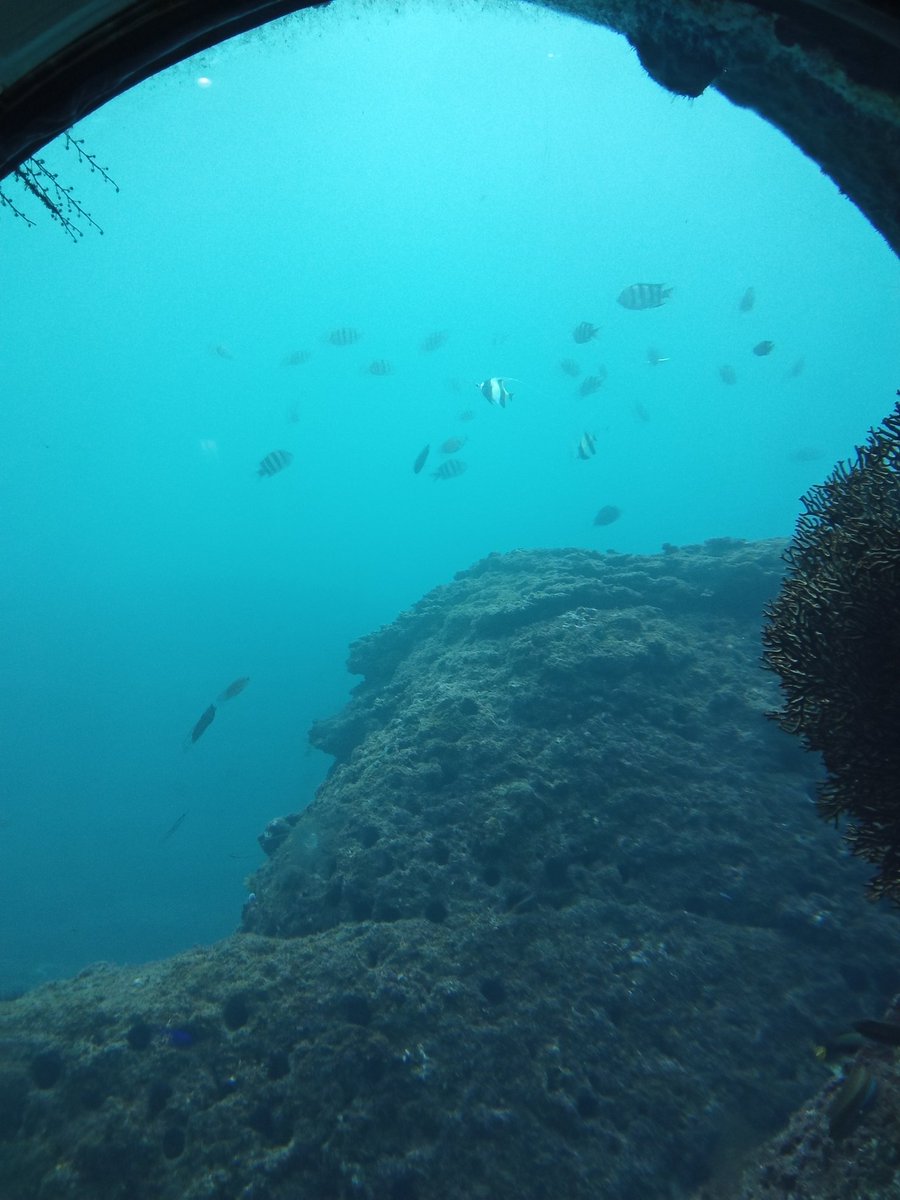 天然ミュージアム・足摺海底館@竜串海域公園のランドマーク