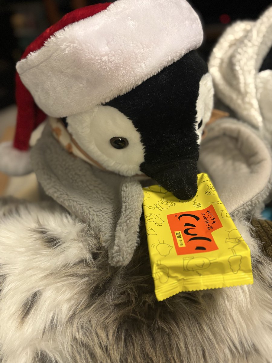 ことり🐧 tweet media